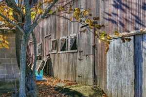 Designing Your Dream Shed: A Steeline Guide for Custom Solutions in Bathurst