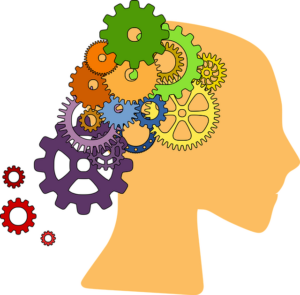 Local Marketing Mastery: Boosting Albury Wodonga Businesses with SEO and Reviewly