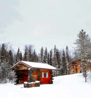 Choosing the Right Shed Builder in Bendigo: A Guide to Expertise, Quality, and Costs
