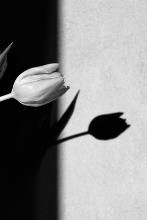 Compassionate Guidance Through Grief: Supporting Loved Ones with Funeral Help in Victoria