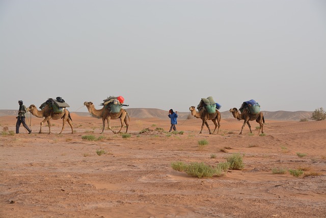 off road caravans, luxury caravans
