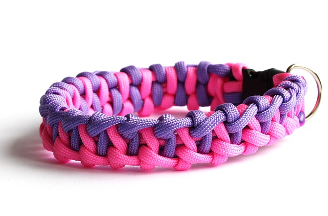 paracord