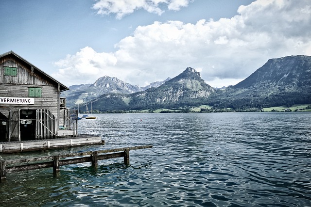 Rental Property 