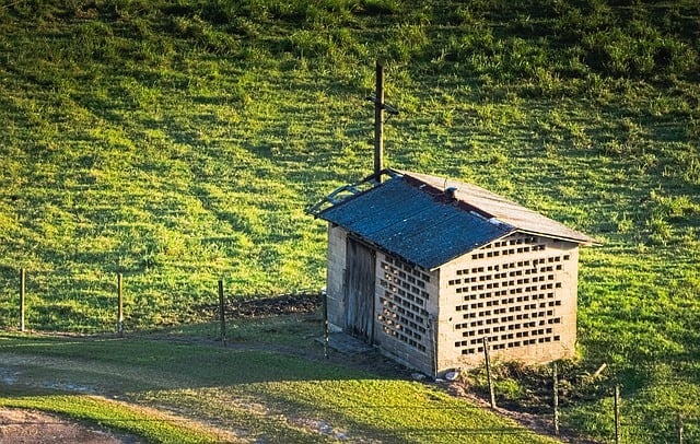 Shed Builder