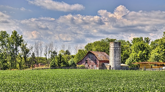 sheds, shed maufacturer