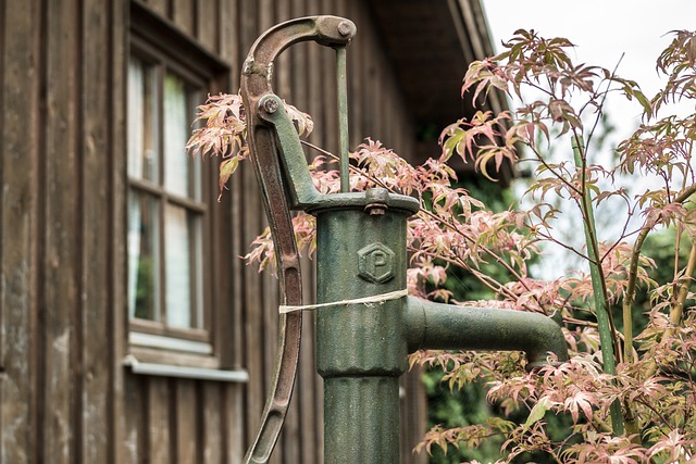 sheds-shed-maufacturer-640x480-11041302.jpeg