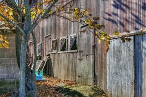 sheds-shed-maufacturer-640x480-24222255.jpeg