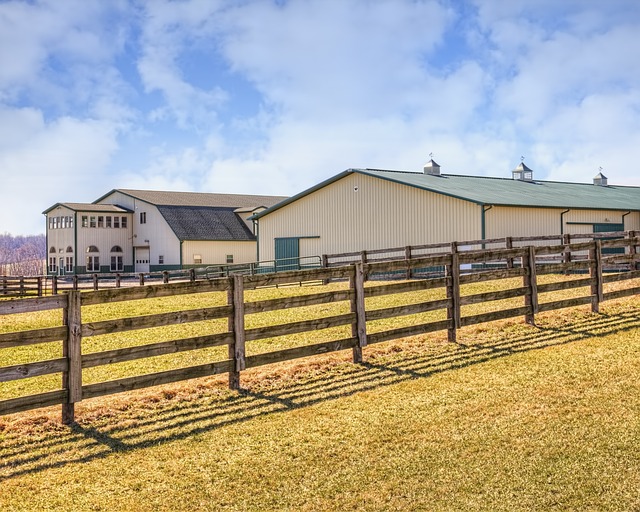 sheds, shed maufacturer