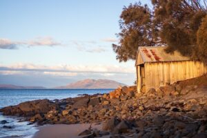 Optimizing Rural Storage: Top Steel Sheds by Local Manufacturers in Wagga Wagga