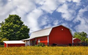 Steel Sheds Wagga Wagga: Year-Round Durability and Summer Cooling Solutions