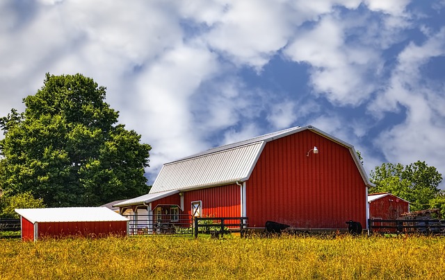 sheds-shed-maufacturer-640x480-45987707.jpeg