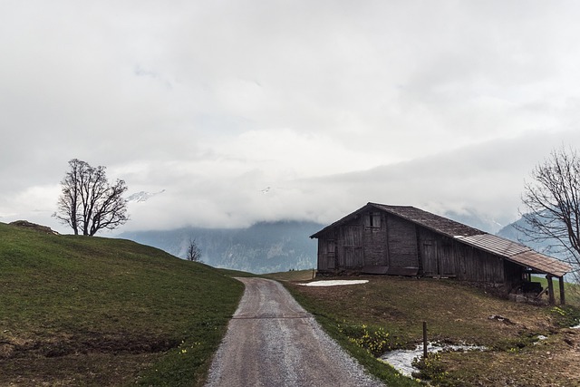 sheds, shed maufacturer