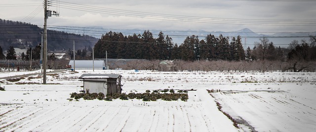 sheds, shed maufacturer