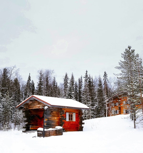 sheds, shed maufacturer