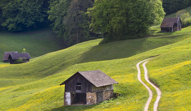 sheds-shed-maufacturer-640x480-65192086.jpeg