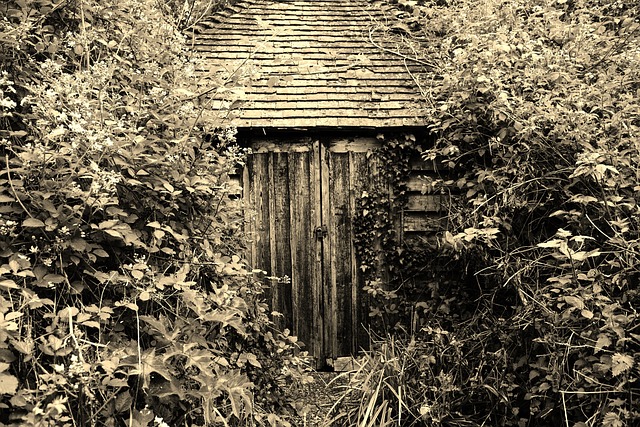 sheds-shed-maufacturer-640x480-70097770.jpeg