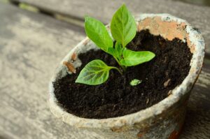 Geo-Targeting Mastery: Franchise Marketing’s Key to Tripling Australian Growth