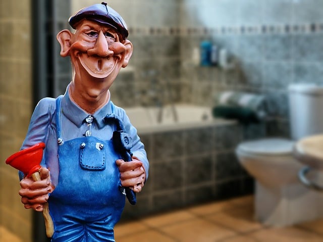 specific plumbing components, plumbers