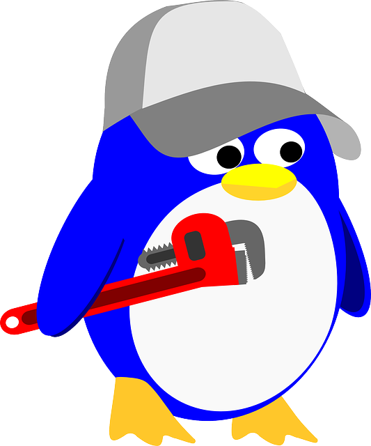 specific plumbing components, plumbers