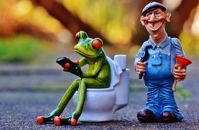 specific plumbing components, plumbers