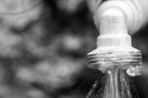 Plumbing Vent Systems Explained: Homeowner’s Guide to Albury Wodonga Supply Solutions