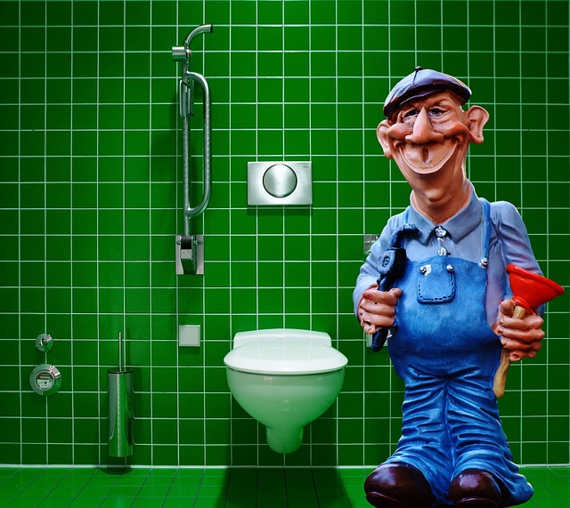 specific plumbing components, plumbers