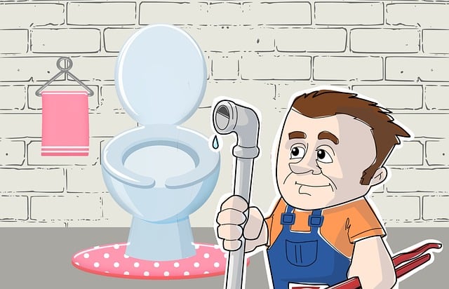 specific plumbing components, plumbers