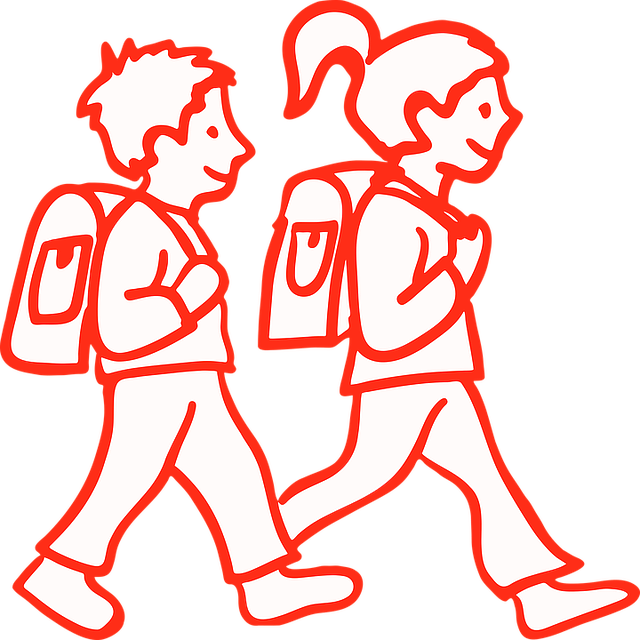 students, educators, courses