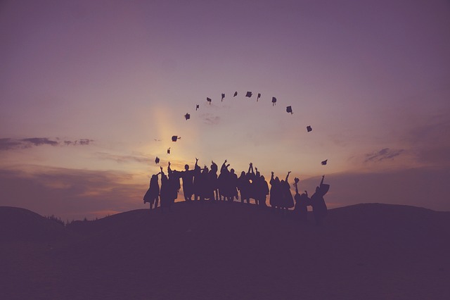 students, educators, courses