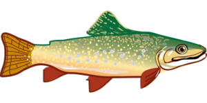 Mastering Trout Fishing in Small Streams