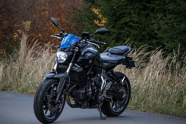 Yamaha Motorbikes