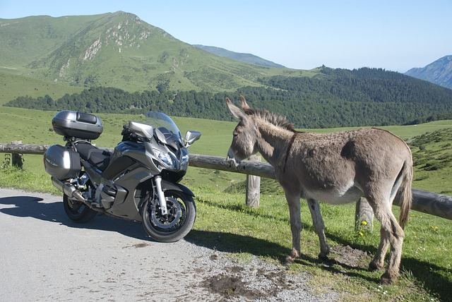 Yamaha Motorbikes, Yamaha Motorcycles