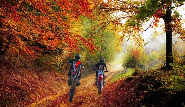 Yamaha Motorbikes, Yamaha Motorcycles