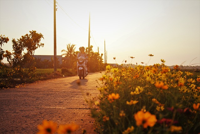 Yamaha Motorbikes, Yamaha Motorcycles