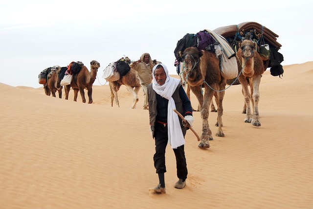 caravan-best-caravan-travel-locations-in-640x480-22053161.jpeg