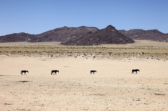 caravan-best-caravan-travel-locations-in-640x480-92097110.jpeg