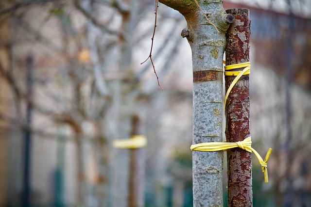 caring-grief-support-640x480-68831888.jpeg
