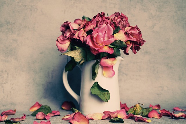 caring, grief, support 
