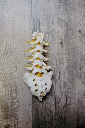 chiropractor-640x480-59397068.jpeg
