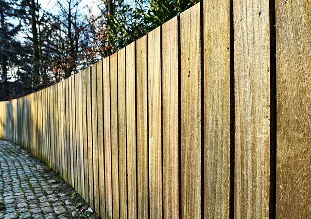 colorbond fencing,  Backyard colorbond fences