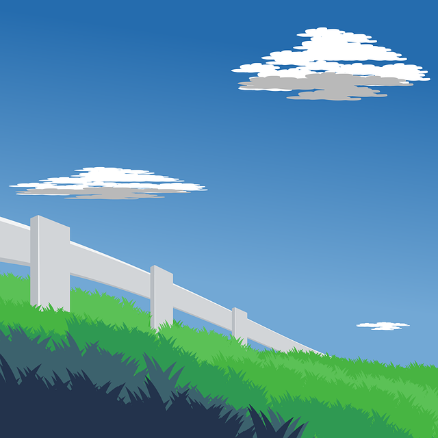 colorbond-fencing-backyard-colorbond-fe-640x480-34876283.png