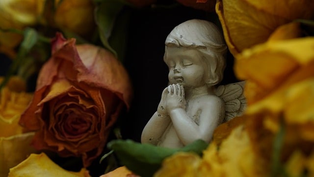 family love, caring for loved ones, funeral