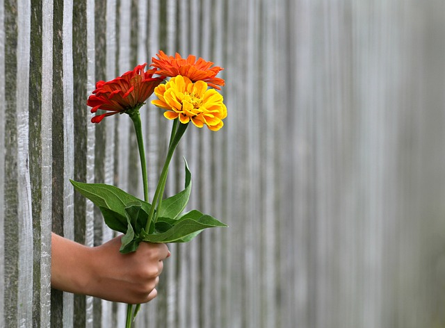 family love, caring for loved ones, funeral