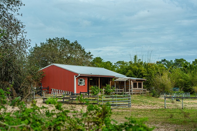 Farm Shed, 