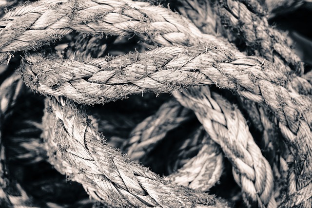horse, horse lead rope