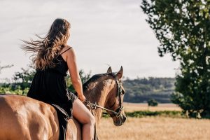 horse-horse-lead-rope-640x480-5803942.jpeg