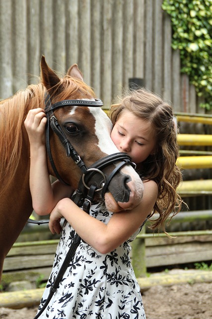 horse, horse lead rope, horses