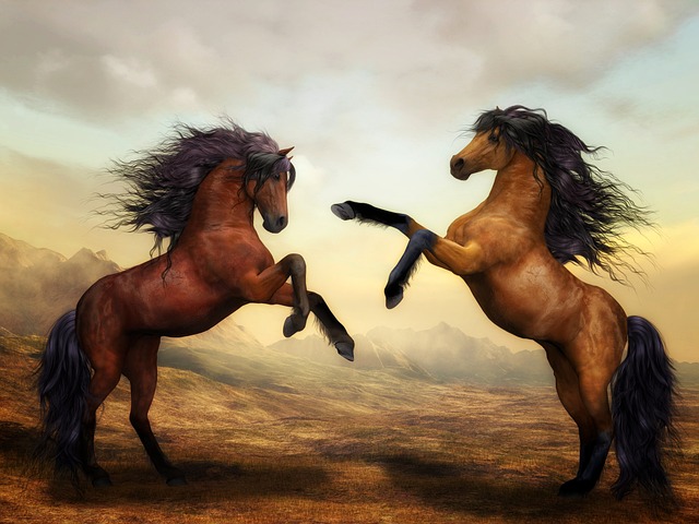 horse, horse lead rope, horses