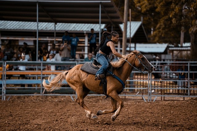 horse, horse lead rope, horses
