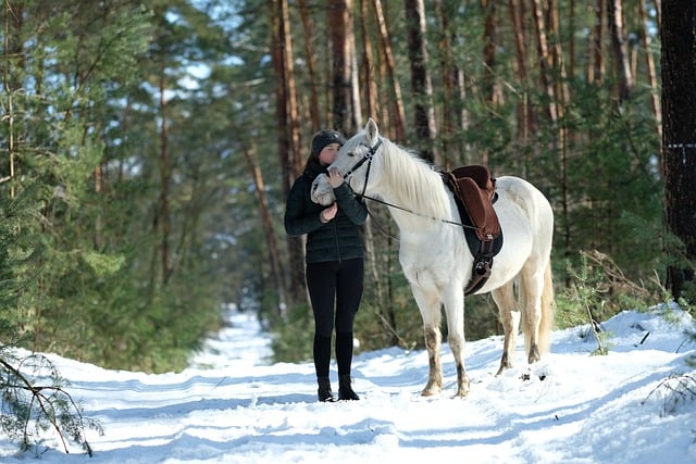 horse, horse rope